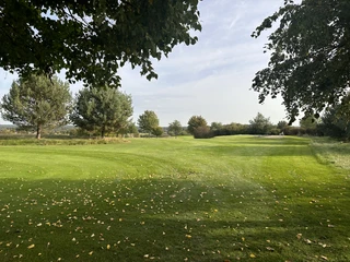 Golf Park Steinhuder Meer Grüner Golfplatz mit Baumgruppen im Hintergrund und verstreuten gelben Blättern auf saftigem Rasen.