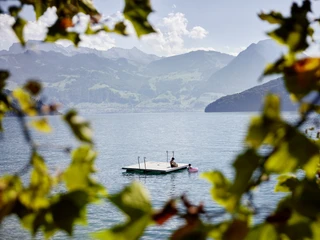 Brougierpark bathing area Blick aufs Floss beim BrougierparkView of the raft at BrougierparkVue sur le radeau près du parc Brougier