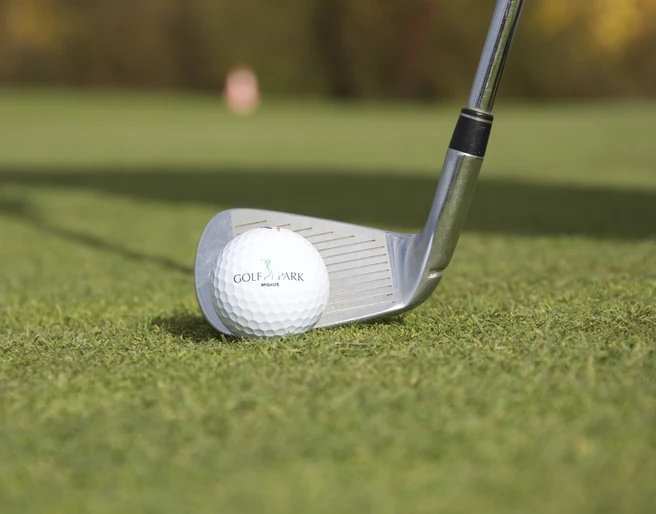Golfpark_Oberkirch_Golfschläger_01.jpg