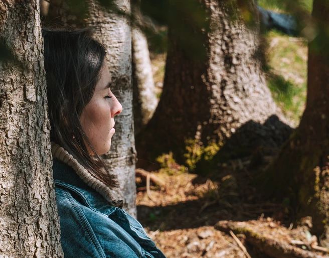 Mountain forest bathing in the Hilfernthal