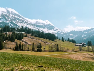 Bains de forêt de montagne