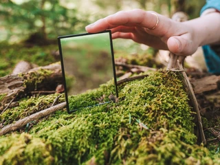 Bains de forêt de montagne