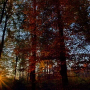 2024.11.23_Vom LIcht_brinen_johnnyb_pixelio.de.jpg