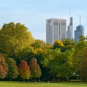 Grüneburgpark grün