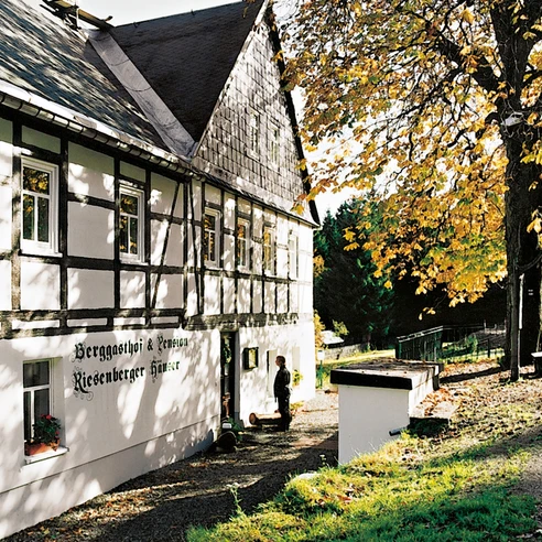 Riesenberger Häuser