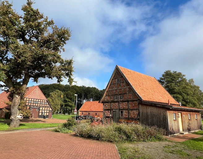 Noltesche Scheune Historische Fachwerkscheune mit rotem Dach in ländlicher Umgebung, von Bäumen umgeben, bei Sonnenschein.