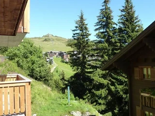 Aussicht Parterre Ostseite Sommer