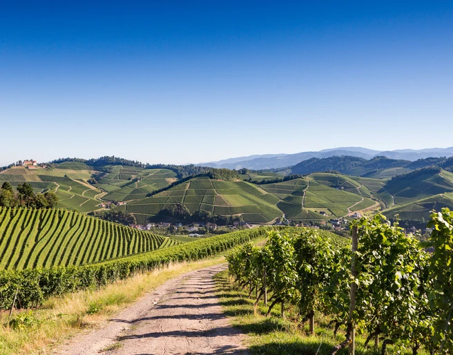 Panoramablick Durbach