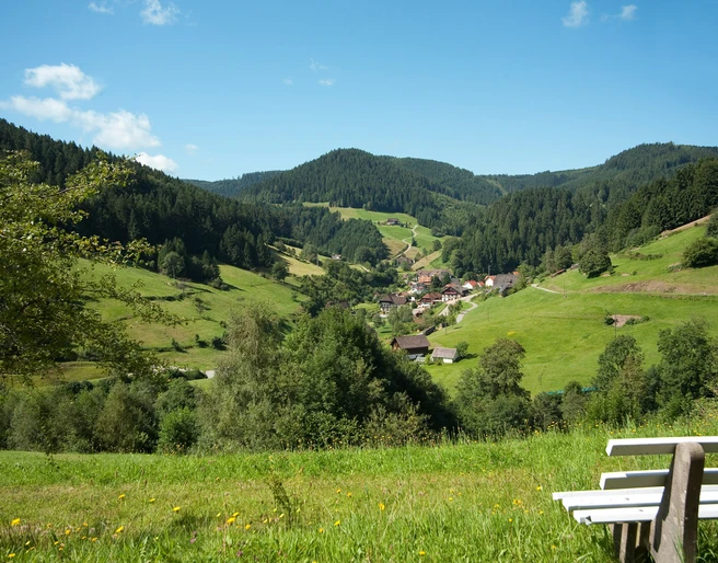 Holzwald