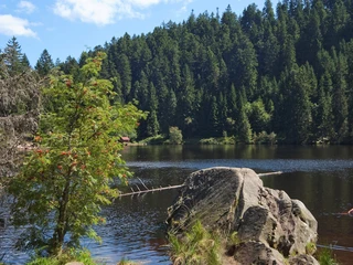 Glaswaldsee