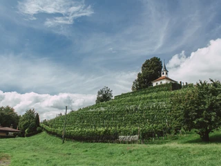 Eggisbühl Kapelle Eggisbühl Kapelle mit RebbergEggisbühl chapel with vineyardChapelle d'Eggisbühl avec vignoble