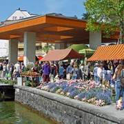Marché aux plantons ProSpecieRara  ProSpecieRara Setzlingsmarkt am Quai in WeggisProSpecieRara seedling market on the quay in WeggisMarché aux plantons ProSpecieRara sur le quai de Weggis