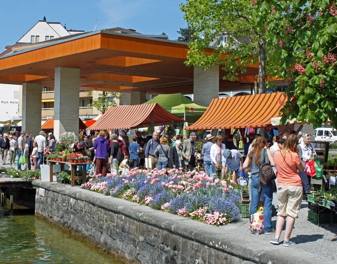 ProSpecieRara Setzlingsmarkt  ProSpecieRara Setzlingsmarkt am Quai in WeggisProSpecieRara seedling market on the quay in WeggisMarché aux plantons ProSpecieRara sur le quai de Weggis