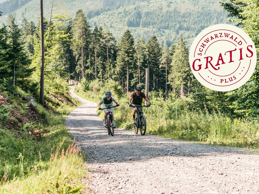 E-Bike Tour zur Hornisgrinde