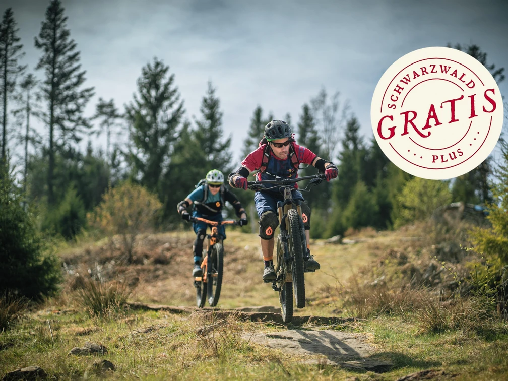 Scharfe Kurven im MTB Wanderhimmel