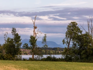 Gelfingen Baldeggersee