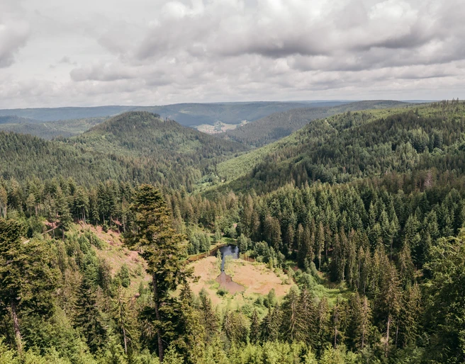 Ellbachseeblick in Baiersbronn