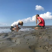 Watt für die Kleinen.png