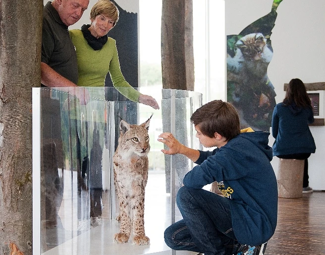 Ausstellung NationalparkZentrum