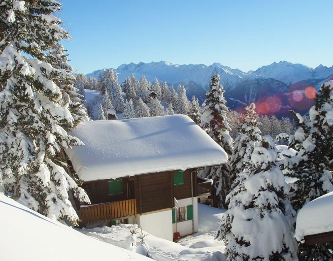 Chalet Florian Riederalp