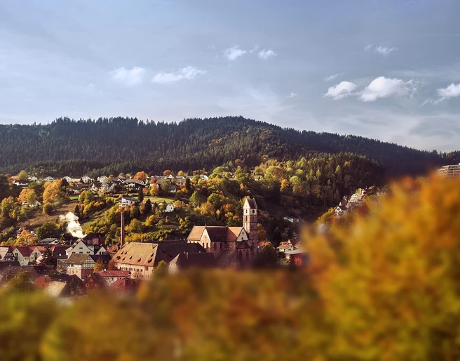 Alpirsbach Panorama Klosterkirche
