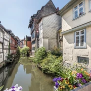 Klein Venedig Fachwerkhäuser an einer Gracht, Frühlingsblumen am Brückengeländer