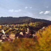 Ortsansicht Alpirsbach