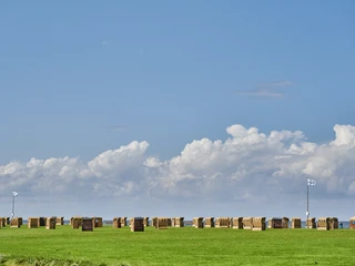 Grünstrand Dorum-Neufeld