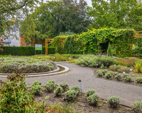 Apothekergarten der Universität Leipzig- Parks in Leipzig Der Apothekergarten gehört zum Botanischen Garten der Universität Leipzig. Hier wachsen zahlreiche Heilpflanzen.