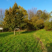 NABU-OASE Bad Nenndorf