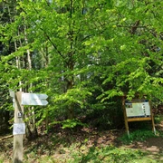 Wanderparkplatz Roter Fuchs