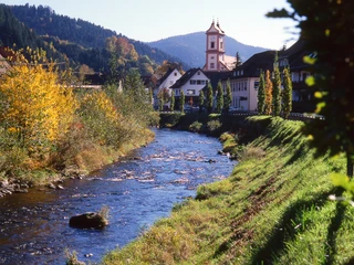 Herbst in Oberwolfach