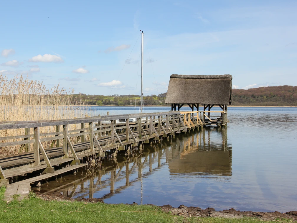 Buchholz_CarinaJahnke (2).JPG Steg am Ratzeburger See mit Schilf am Ufer und Anleger