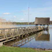 Buchholz_CarinaJahnke (2).JPG Steg am Ratzeburger See mit Schilf am Ufer und Anleger