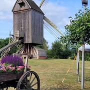 Historische Bockwindmühle in Wehe mit blühendem Blumenkarren und blauem Sommerhimmel im Hintergrund.