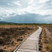 Großes Torfmoor Holzsteg schlängelt sich durch ein weitläufiges, lichtdurchflutetes Moorgebiet unter bewölktem Himmel.