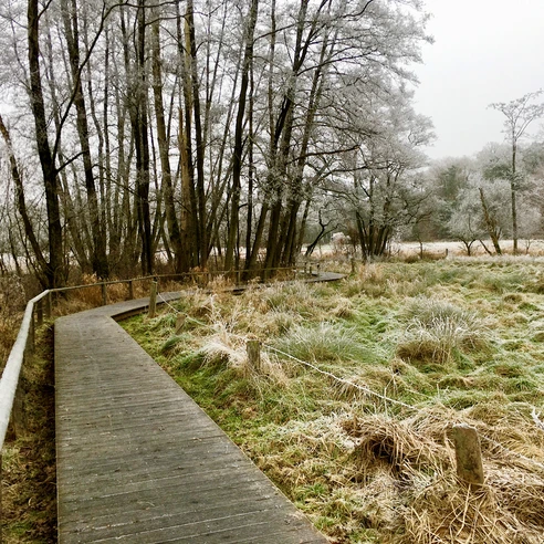 Hellbachtal_Wanderweg_PetraRoemer.jpg