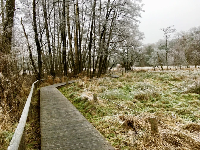 Hellbachtal_Wanderweg_PetraRoemer.jpg