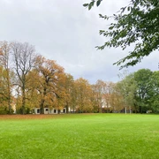 Stötteritzer Wäldchen - Familienurlaub in Leipzig Große Wiese von alten Bäumen in bunten Herbstfarben gesäumt am Eingang des Stötteritzer Wäldchens.