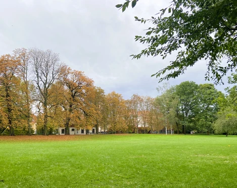 Stötteritzer Wäldchen - Familienurlaub in Leipzig Große Wiese von alten Bäumen in bunten Herbstfarben gesäumt am Eingang des Stötteritzer Wäldchens.