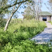 SchwimmendesMoor_FlorianTrykowski