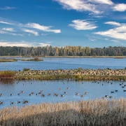 UNESCO-Biosphärenreservat Drömling.jpg