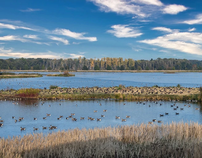 UNESCO-Biosphärenreservat Drömling.jpg