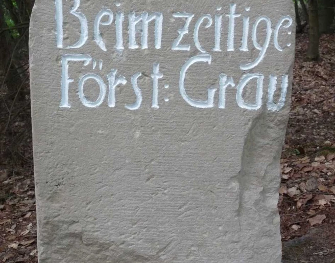 12 Vorderseite Wolfstein 2010