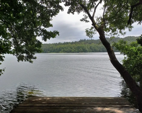 20190102_022428.jpg Blick von der Einsatzstelle auf den ruhigen See mit grüner Natur.