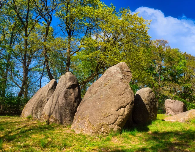 Visbeker Braut im Frühling Visbeker Braut im Frühling