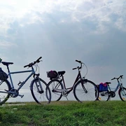 Räder auf dem Nordseedeich