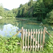 Muehlenweiher Betzweiler Wälde