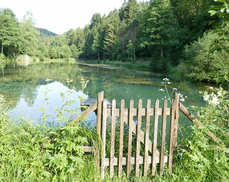 Muehlenweiher Betzweiler Wälde