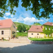 Anlage Weingut Hoflößnitz